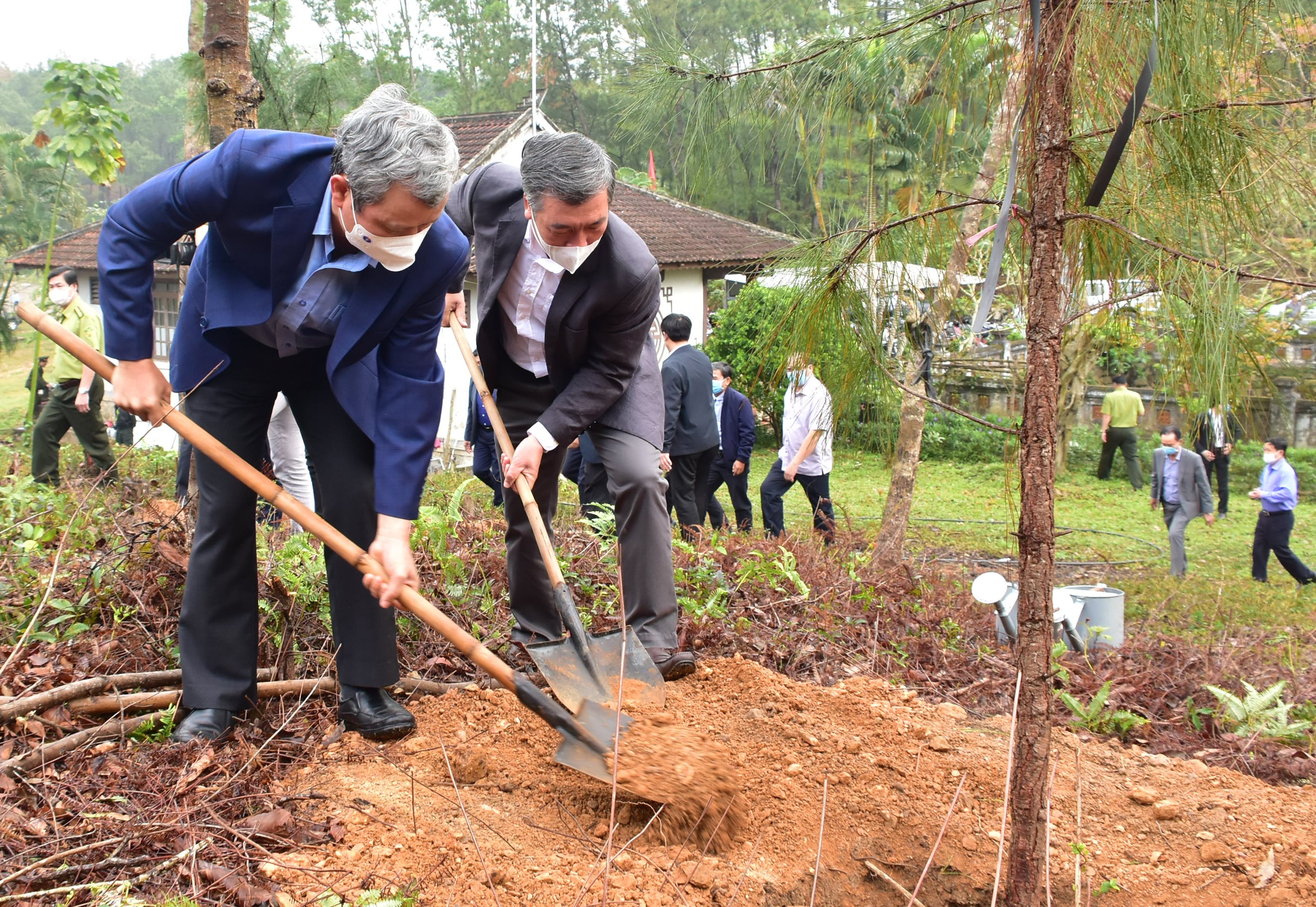 Thừa Thiên Huế hưởng ứng phong trào trồng 1 tỷ cây xanh