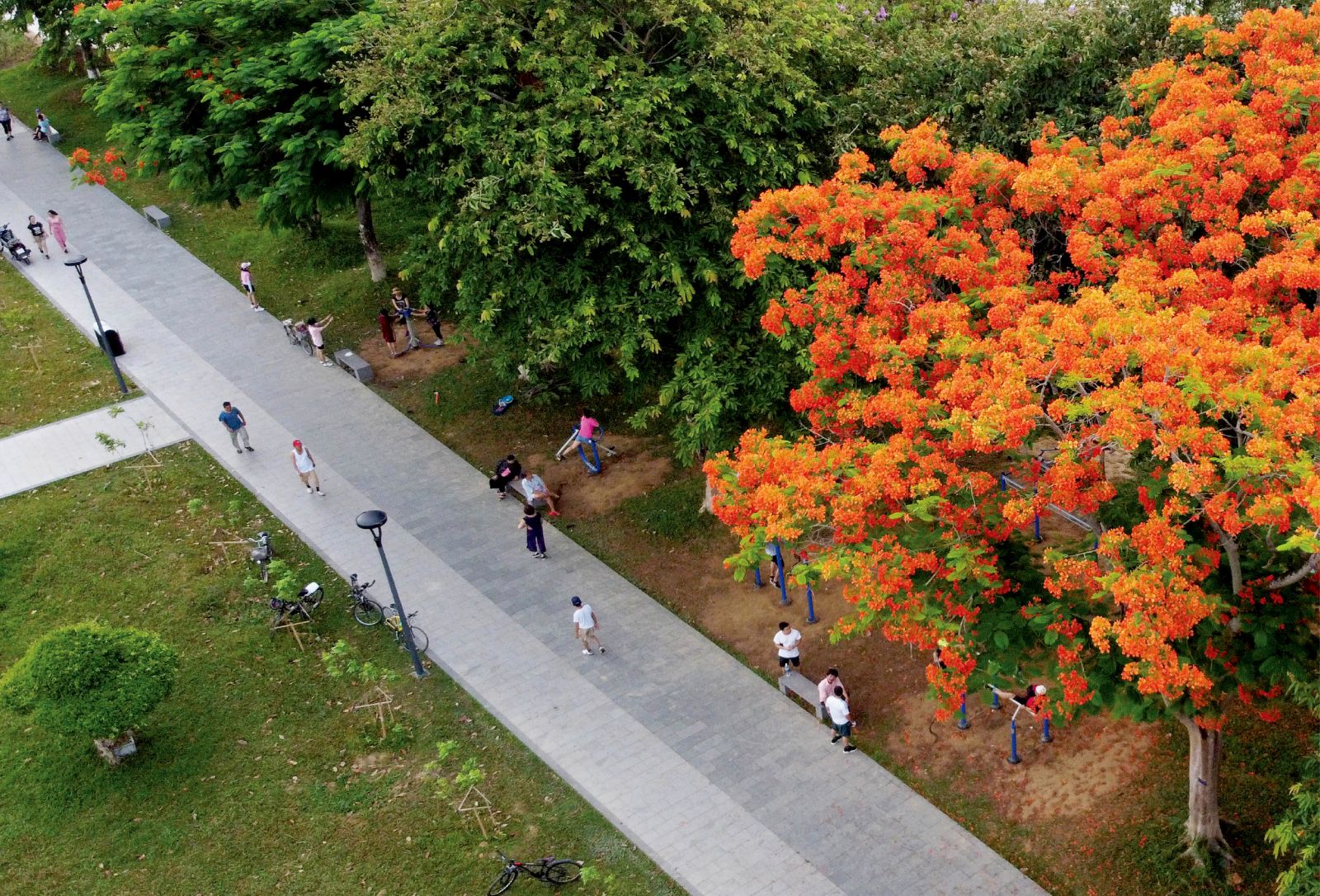 Leaving green heritage for posterity