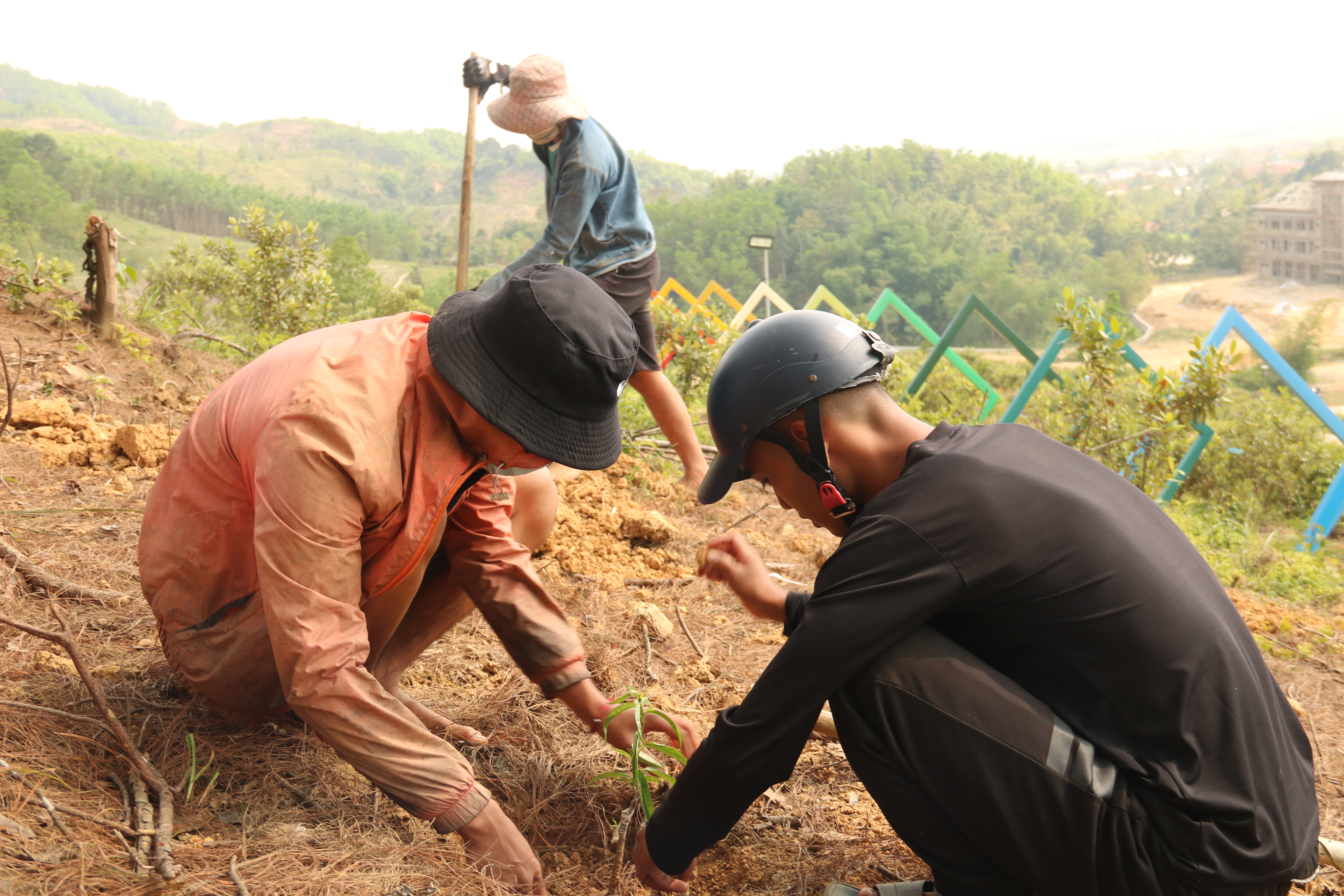 A Lưới Triển khai ý tưởng vườn đào ở vùng cao