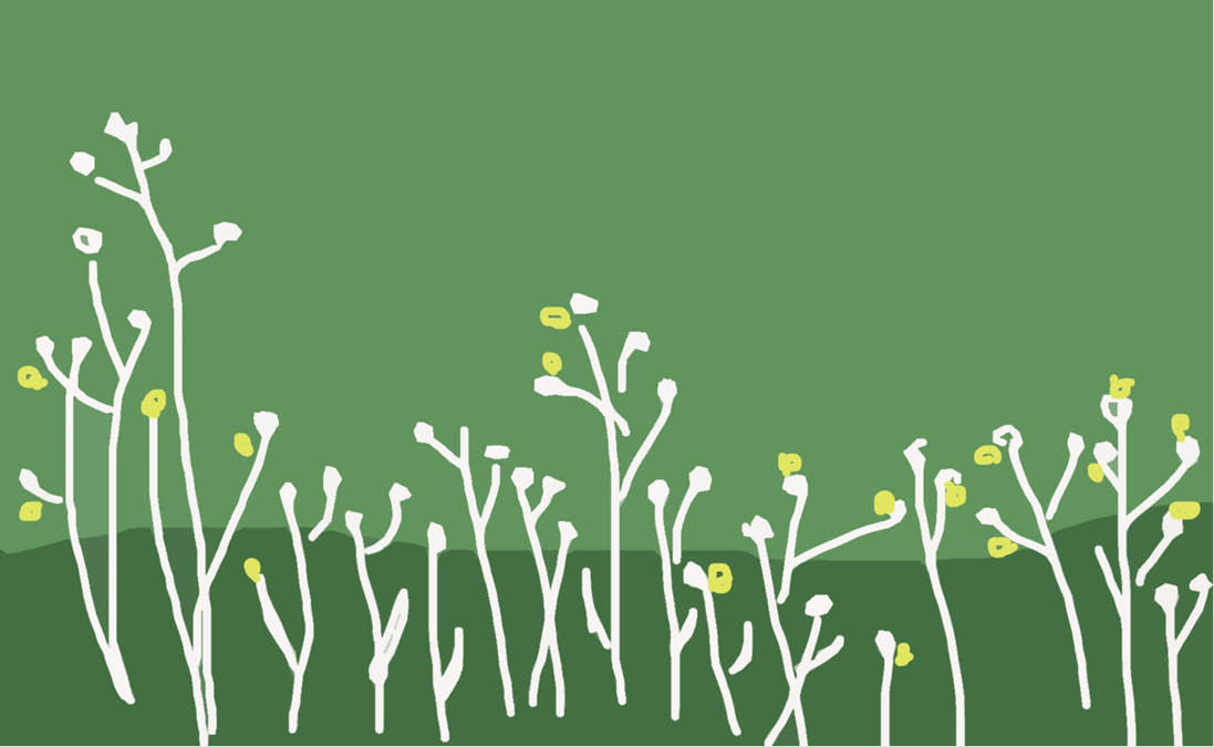 Những vạt nắng mùa xuân