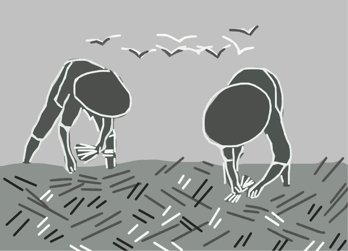 Những sớm đầy sương