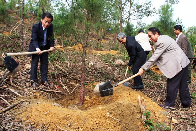 “Mùa Xuân là Tết trồng cây”