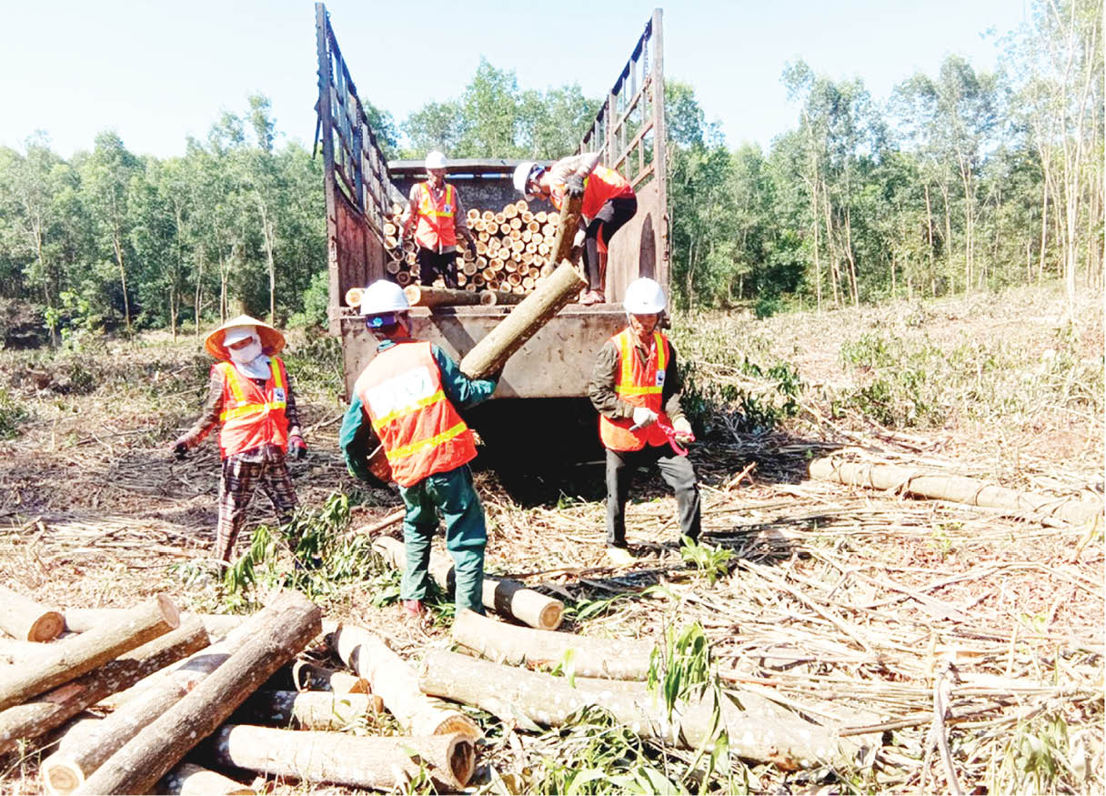 Bến Ván thay đổi
