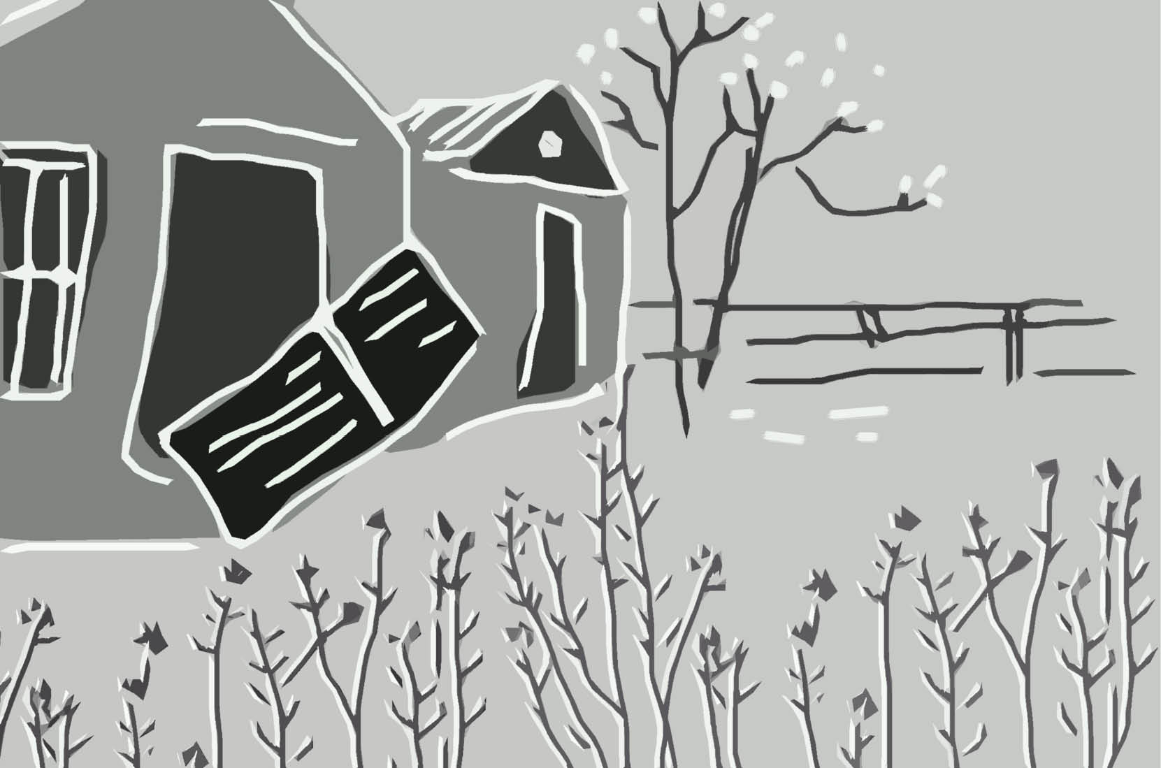 Hoa cải vàng cứ chao trong gió