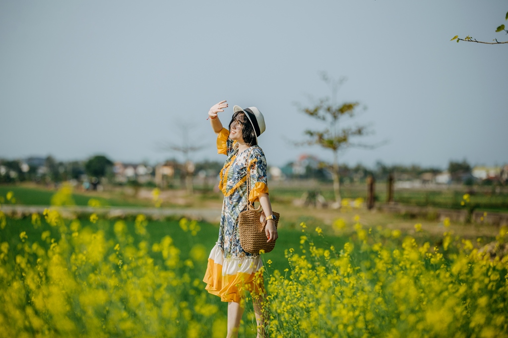 Mùa hoa cải vàng