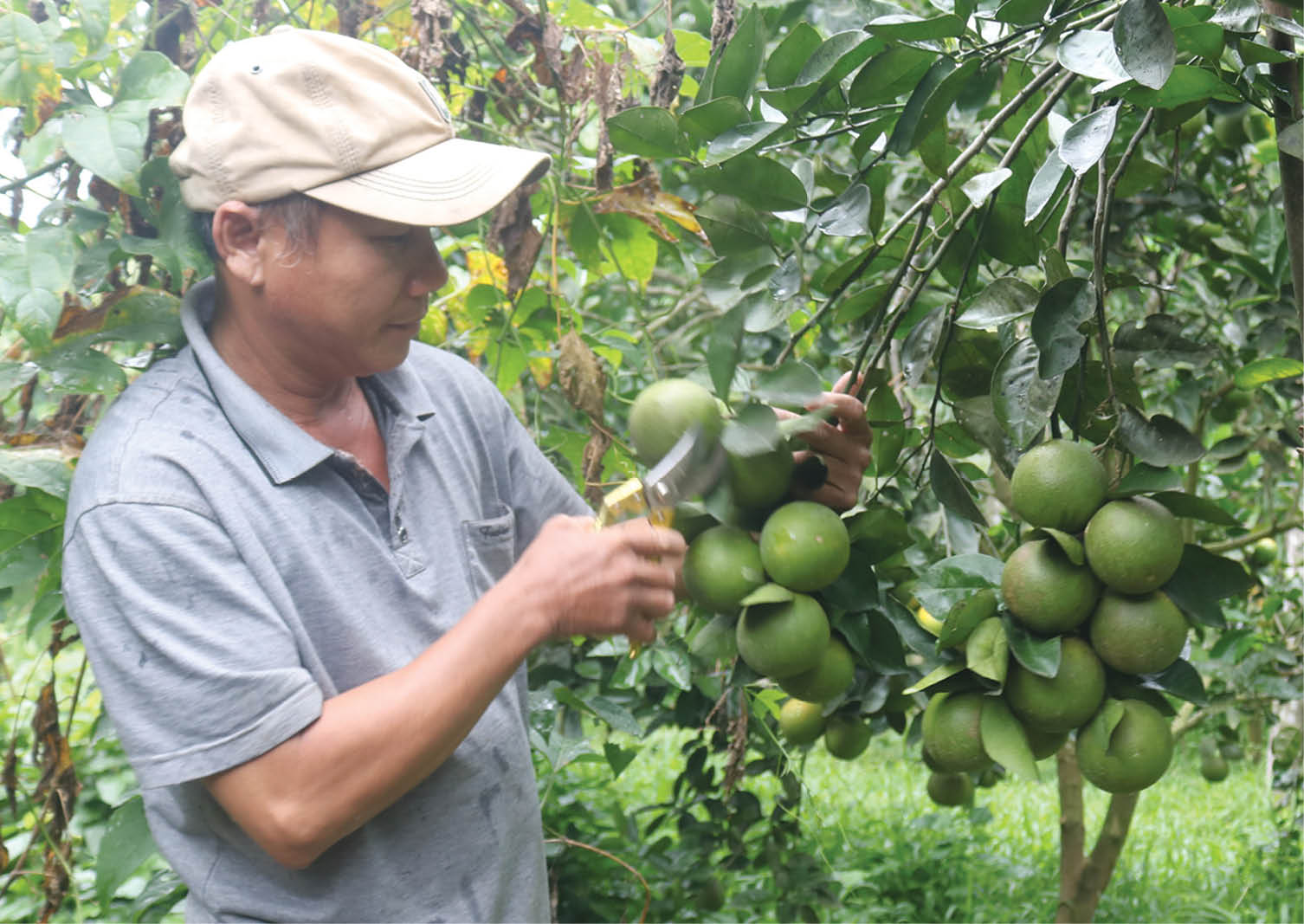 Cơ quan thuế đã chủ động thông báo cho các trường hợp nợ tiền sử dụng đất
