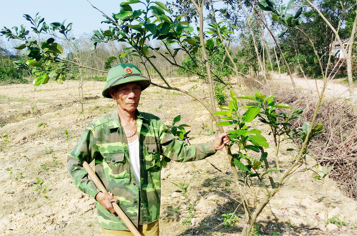 Sớm xem xét rủi ro về vốn vay cho người dân Phú Kinh Phường