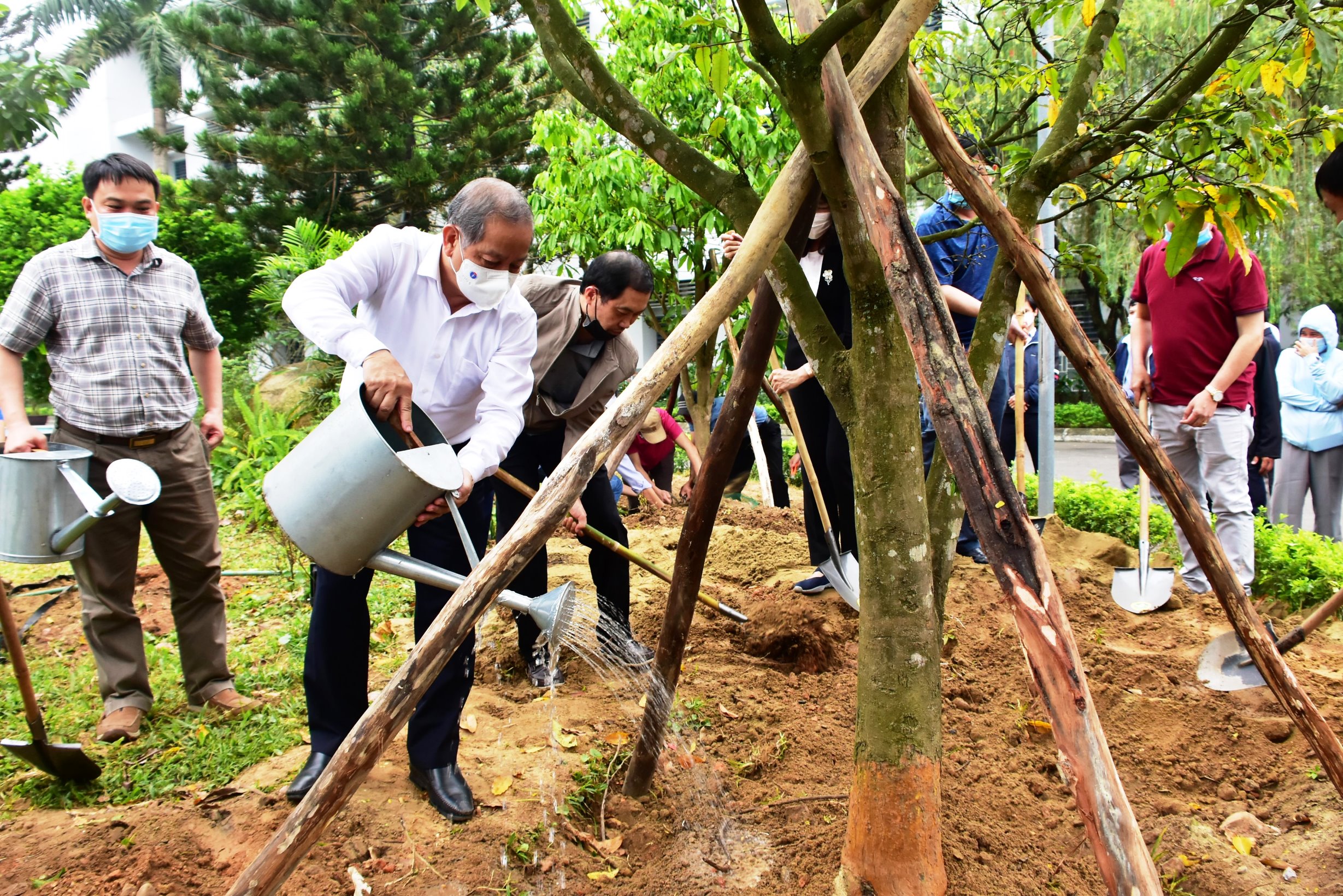 Xây dựng xứ sở mai vàng của Việt Nam