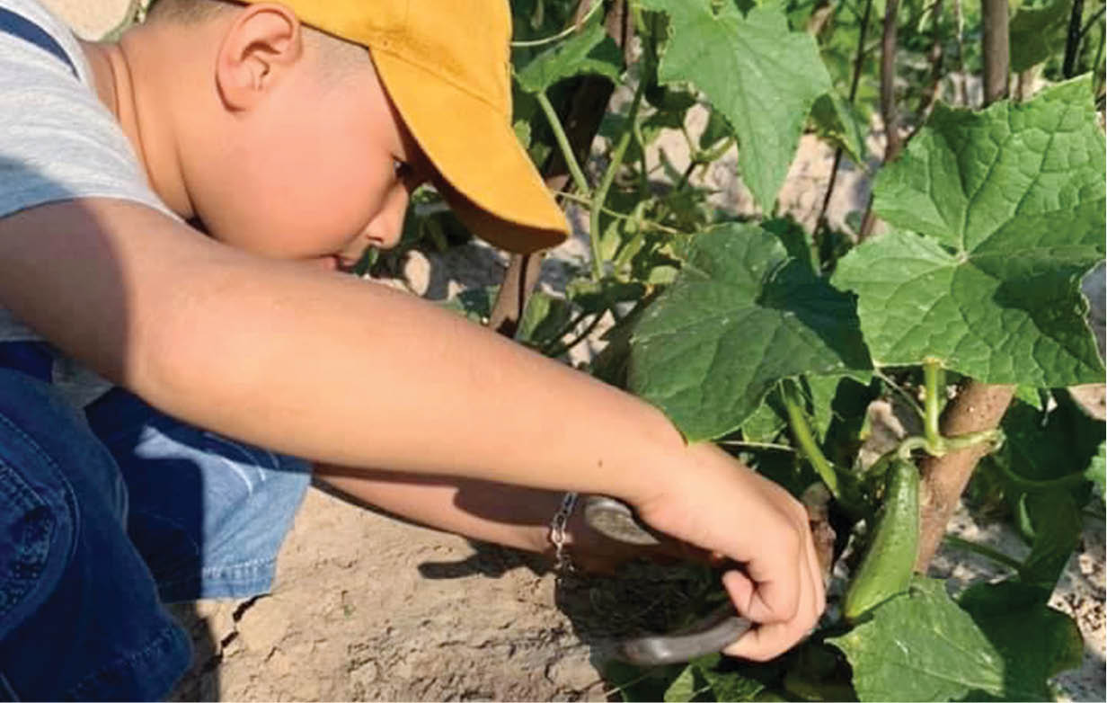 Du lịch trải nghiệm, hướng đi giữa đại dịch