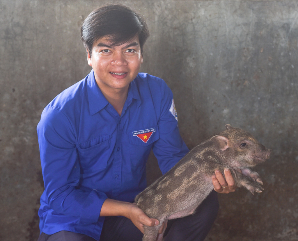 Khởi nghiệp từ mô hình nuôi lợn rừng