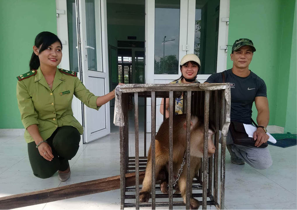 A female Forest Ranger