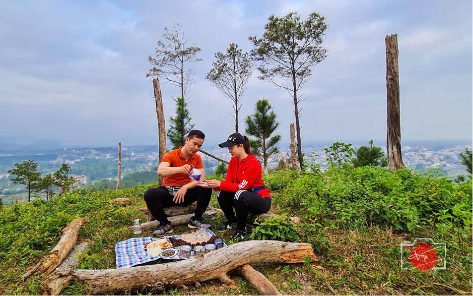 Sớm mai lên núi uống trà