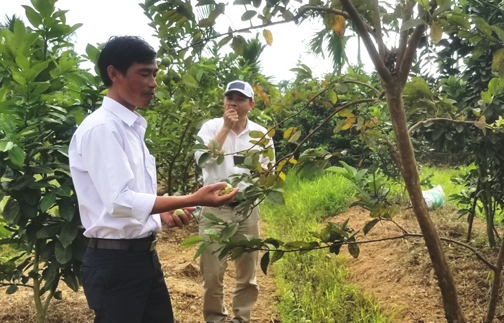 Đề xuất các giải pháp giảm thiểu sụt giảm nước ngầm ở A Lưới