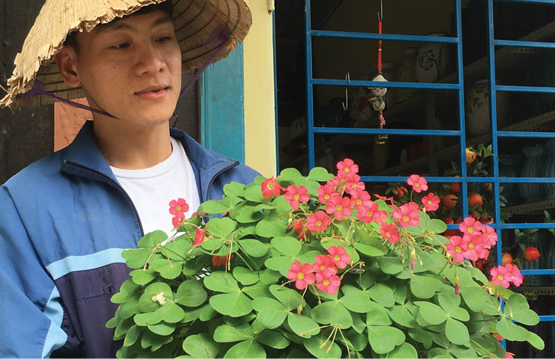 Vườn hoa “độc”, lạ