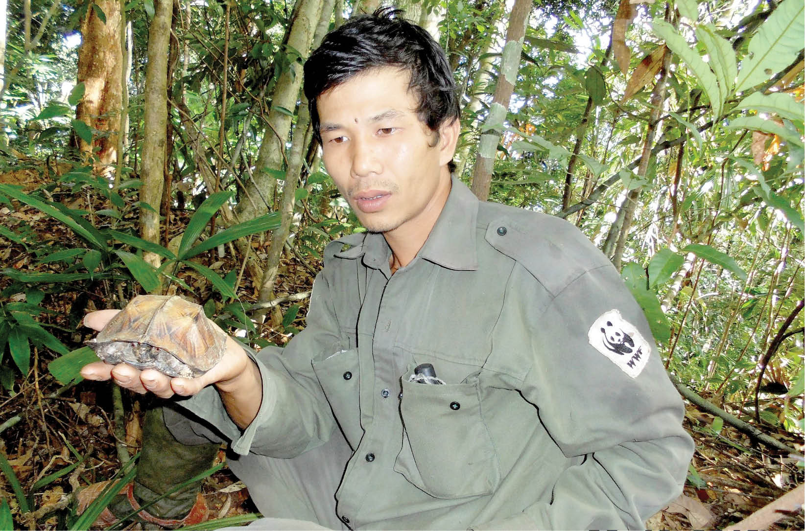 Khu Bảo tồn Sao La Ghi nhận nhiều loài quý hiếm