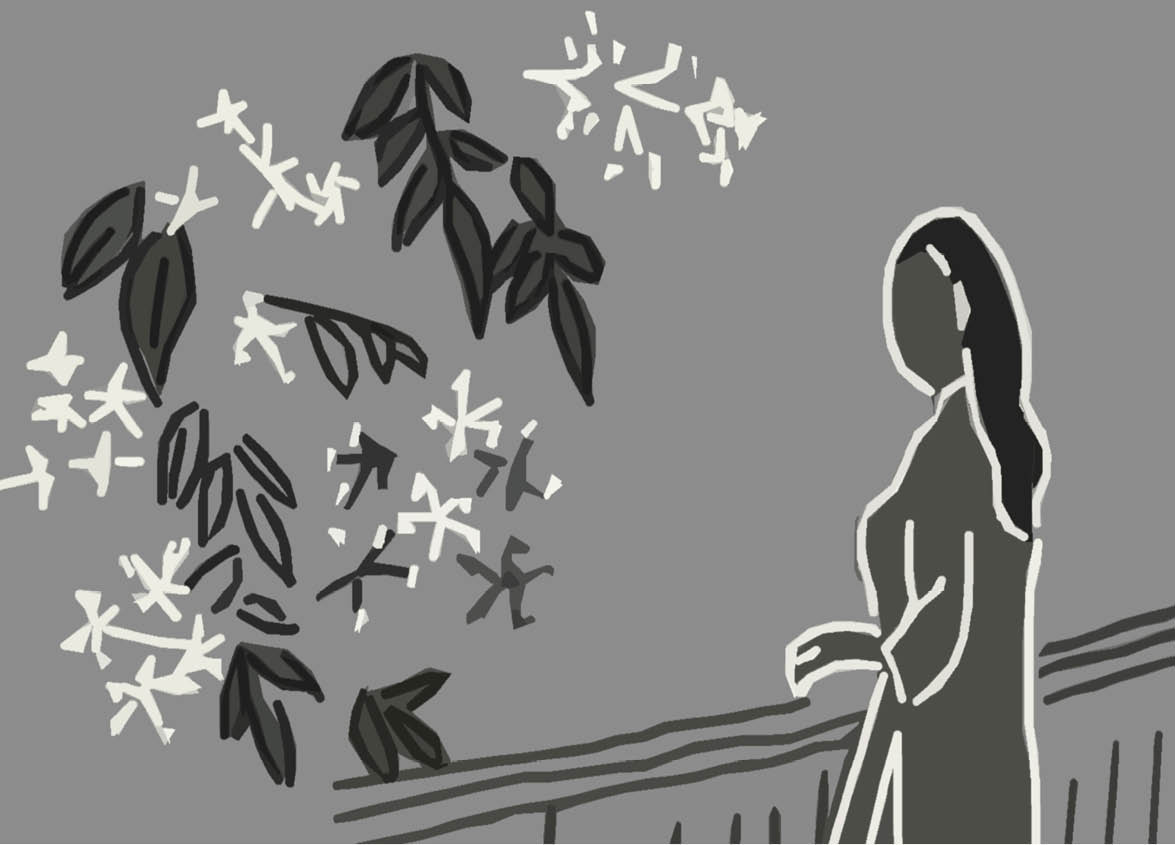 Hoa xoan nở dưới chân cầu