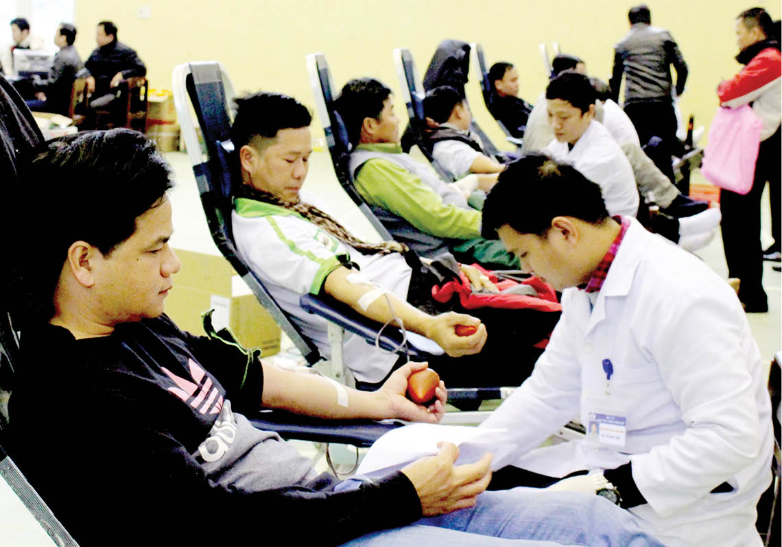 Giọt máu hồng “gieo mầm” sự sống