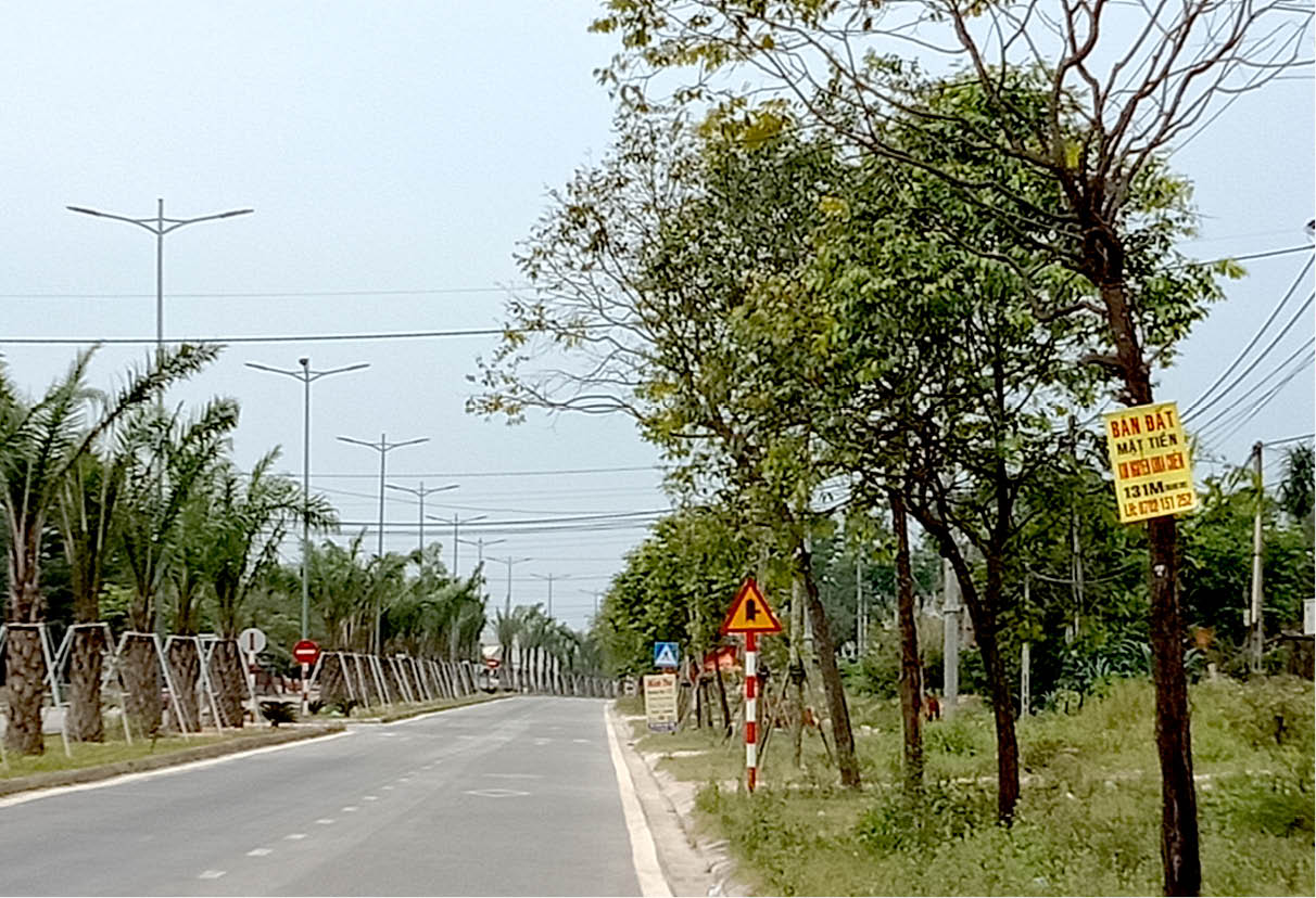 Sốt đất