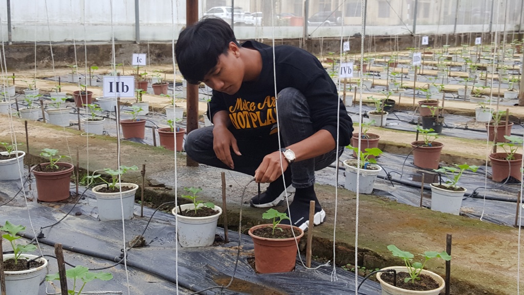 Nhiều nhiệm vụ khoa học thúc đẩy phát triển kinh tế xã hội