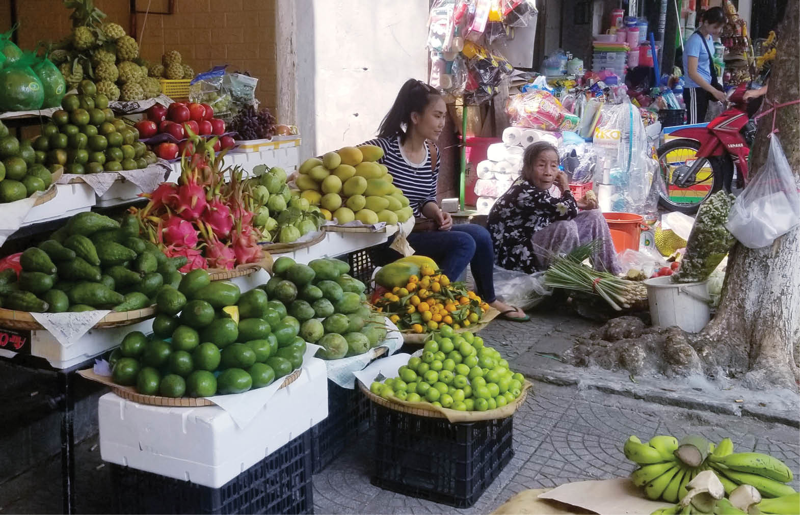 Thí điểm sử dụng vỉa hè kinh doanh Giải quyết vấn nạn lấn, chiếm