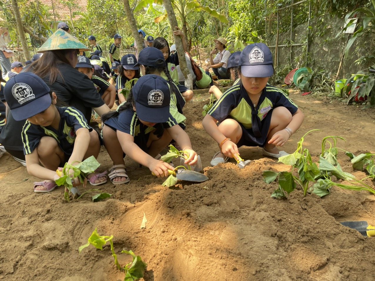 Tìm kiếm cơ hội đầu tư Farmstay