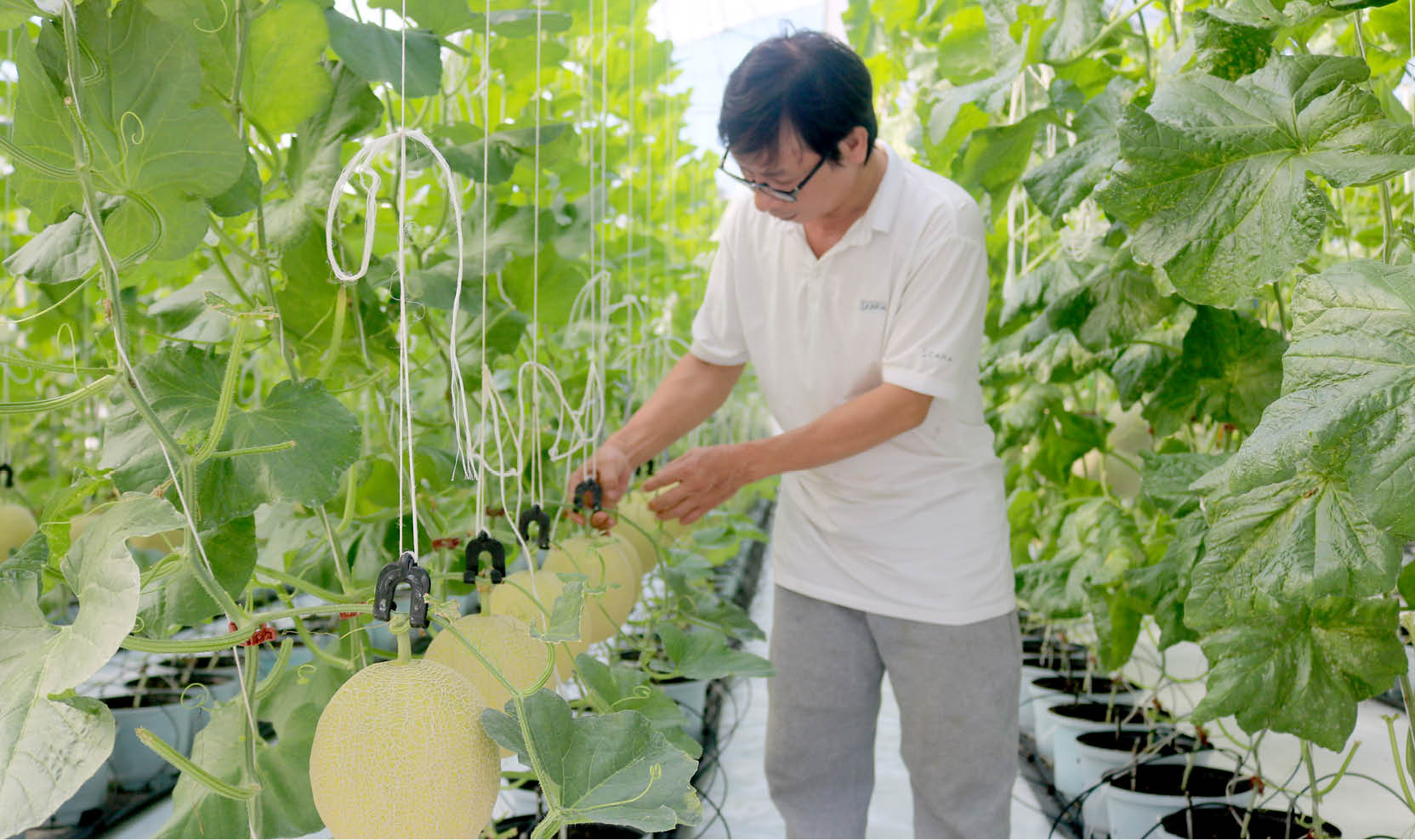 Thu hút đầu tư có chọn lọc - bài 3 Sẵn sàng đón sóng