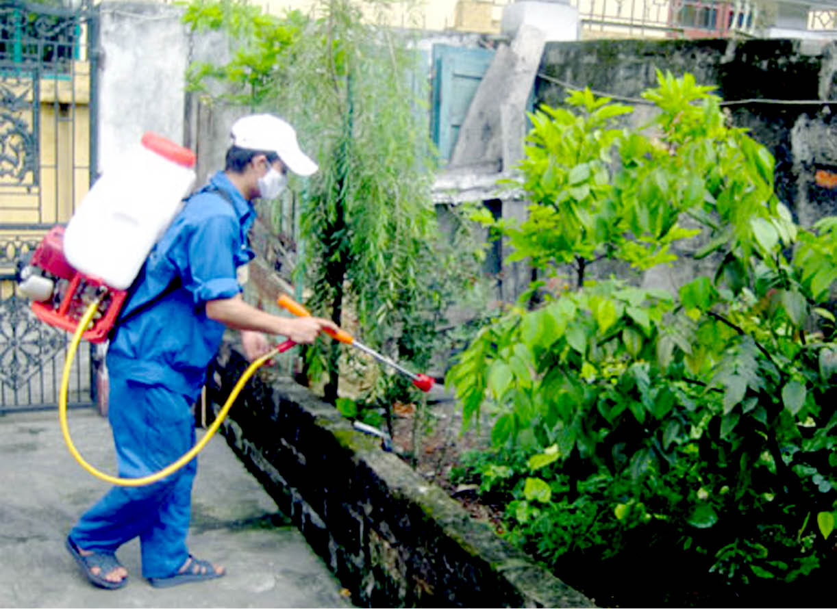 Thừa Thiên Huế tiến tới loại trừ sốt rét vào năm 2022