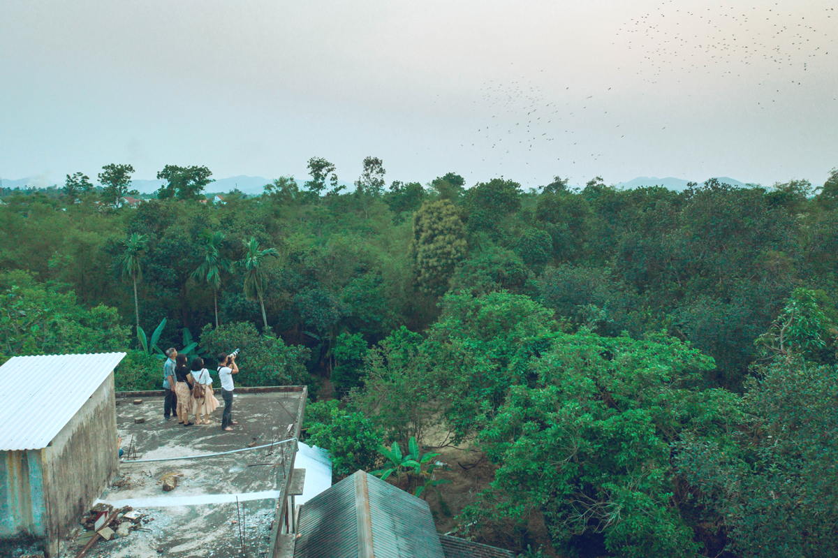 House to contemplate storks