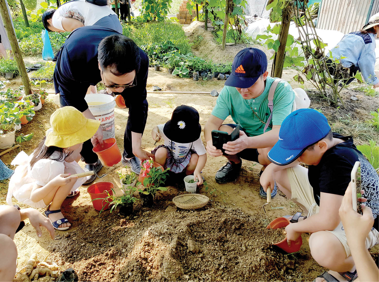 Phát triển du lịch nông nghiệp Chưa bài bản, thiếu liên kết - kỳ 2 Không để sản phẩm ở “lưng chừng”