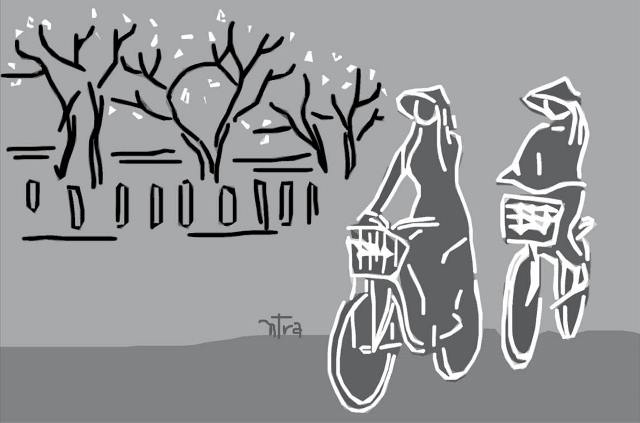 Mềm mại nét Huế