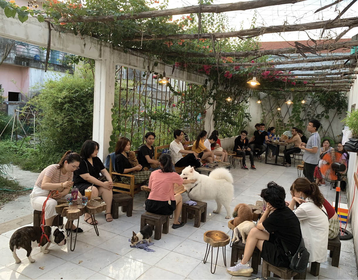 Làm “bạn” với thú cưng