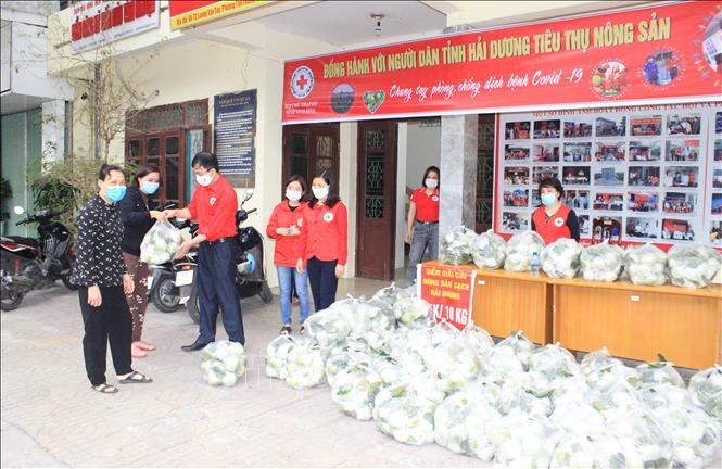 Sẽ lập tổ liên ngành giải quyết vướng mắc trong sản xuất, tiêu thụ nông sản