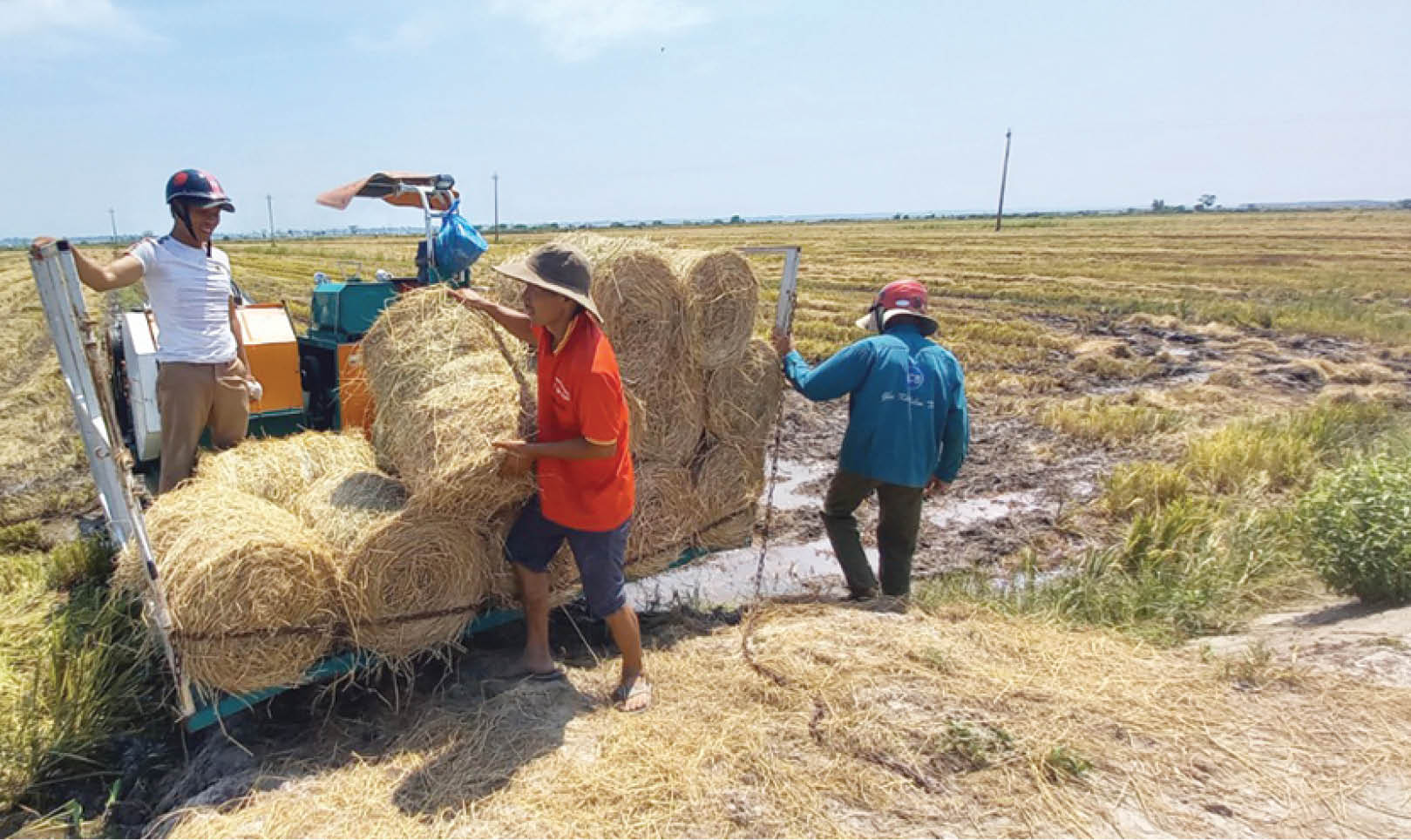 Xử lý rơm rạ trên đồng ruộng Khó phương tiện lẫn đầu ra