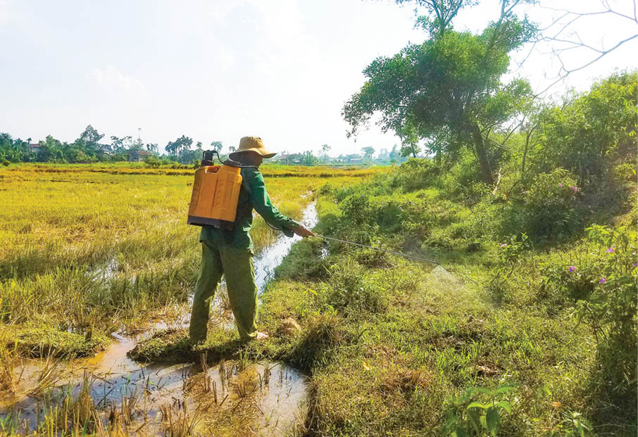 Làm nông kiểu “tiện tay” Lợi bất cập hại