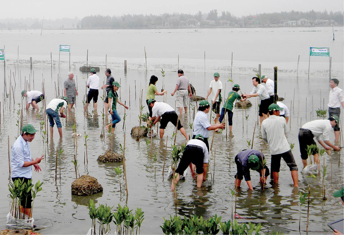 Bắt đầu khởi động “Thập kỷ Phục hồi hệ sinh thái”
