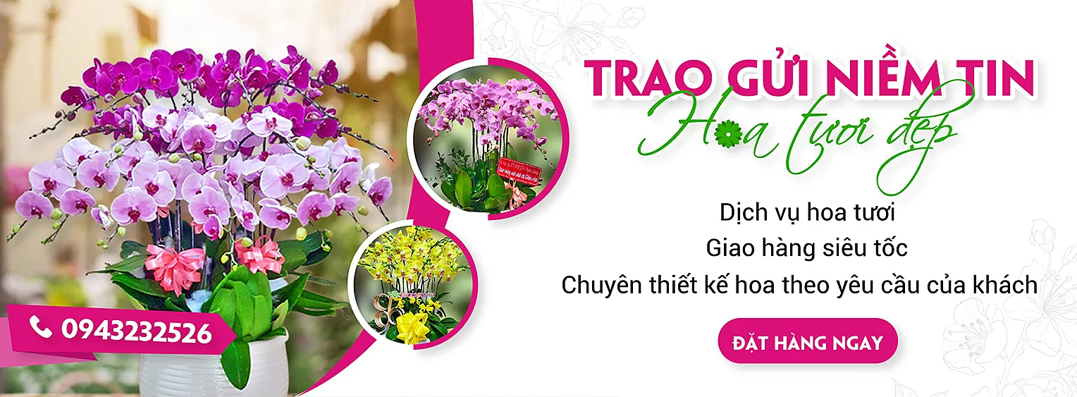 Shop hoa tươi đẹp – Trao gửi tình yêu thương trong mỗi bông hoa