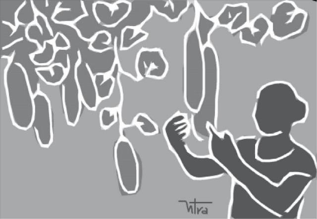 “Năm ni trời thương”