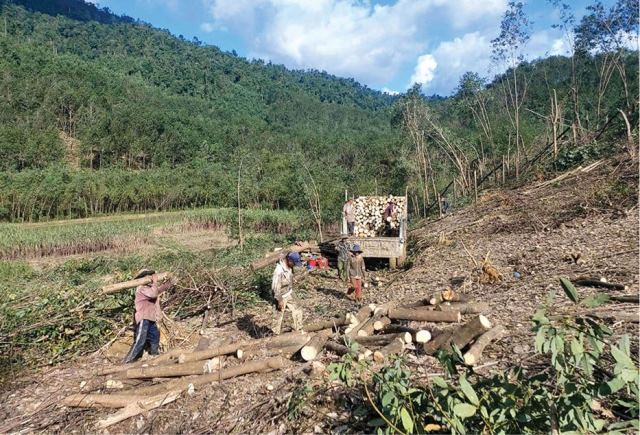 Lộc Sơn tạo đà phát triển tiểu thủ công nghiệp