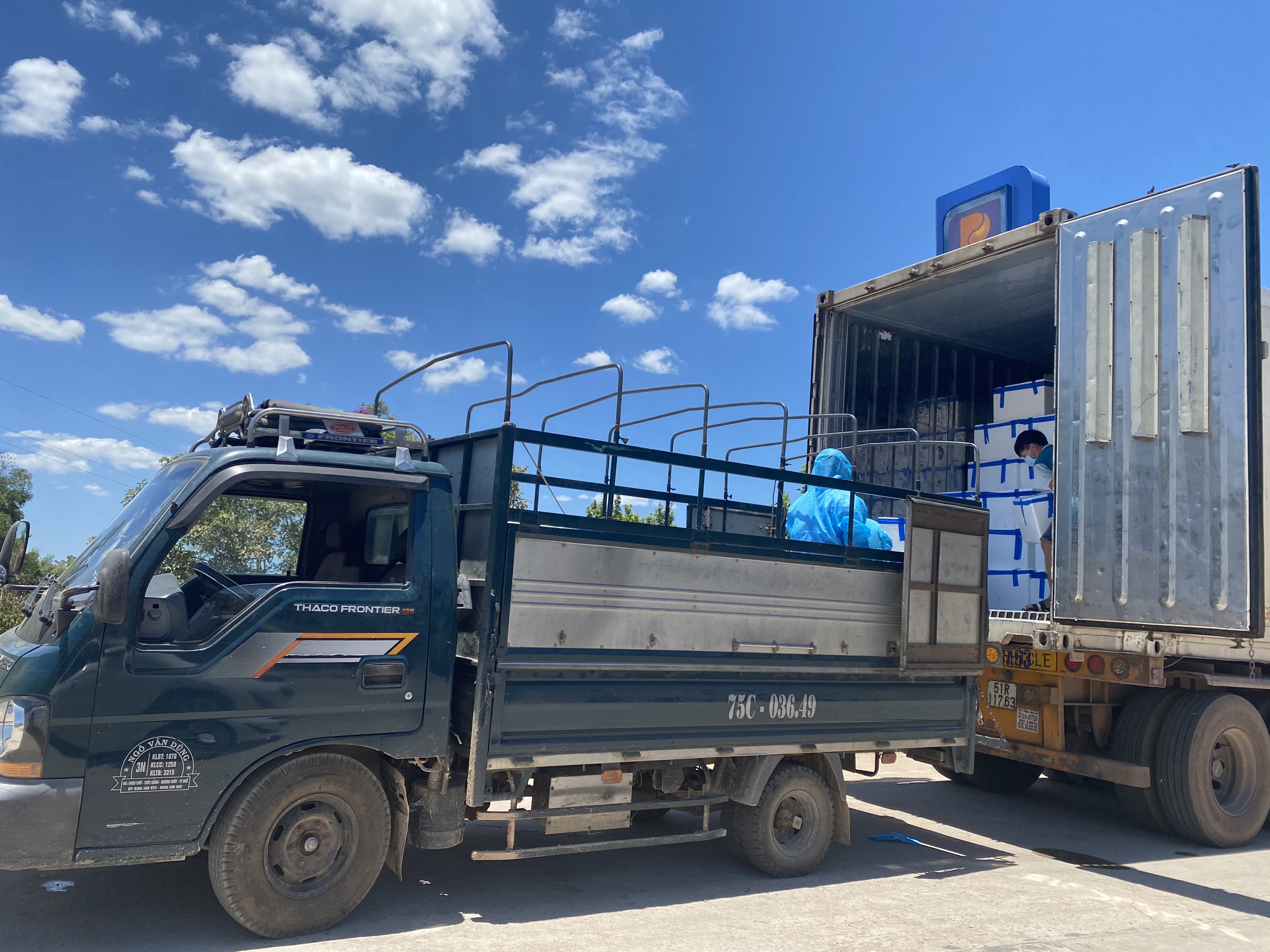 Hỗ trợ tiêu thụ 1 200kg vải thiều Bắc Giang