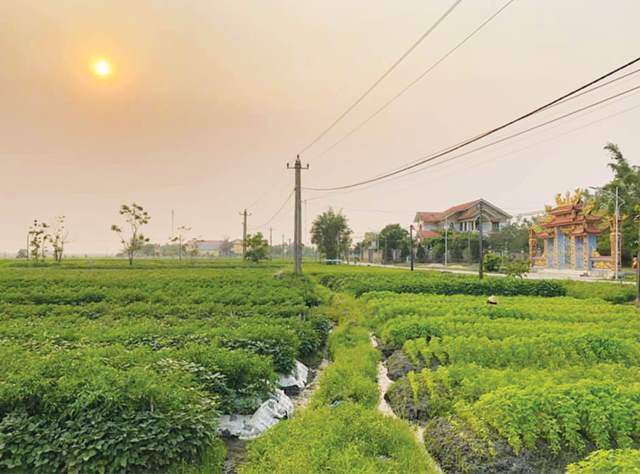 Gặp làng ở phố