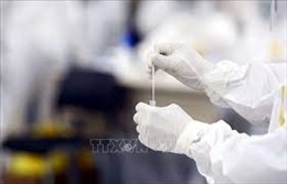 177 486 người đang được cách ly