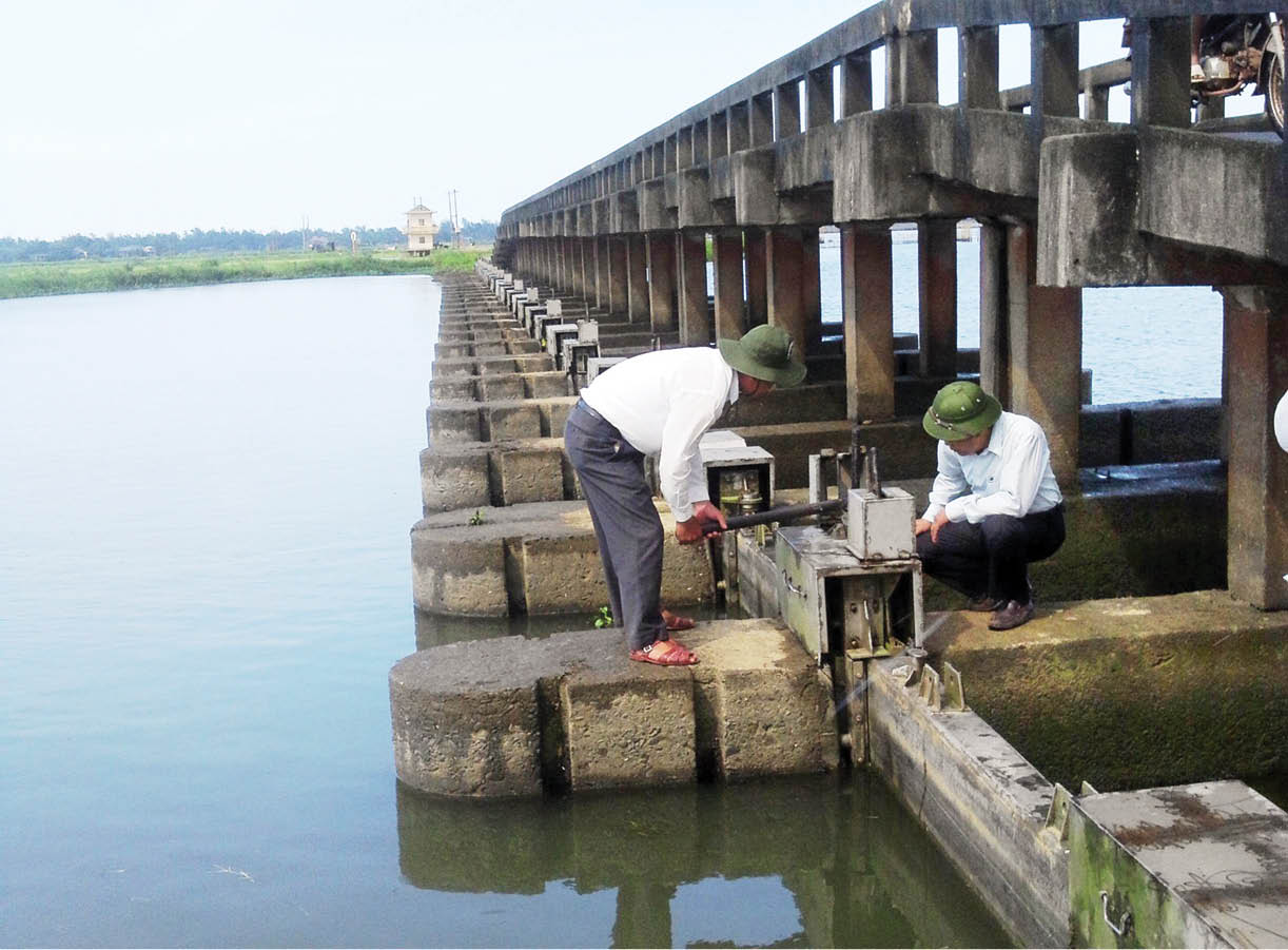 Mưa trái mùa “giải nhiệt” cây trồng