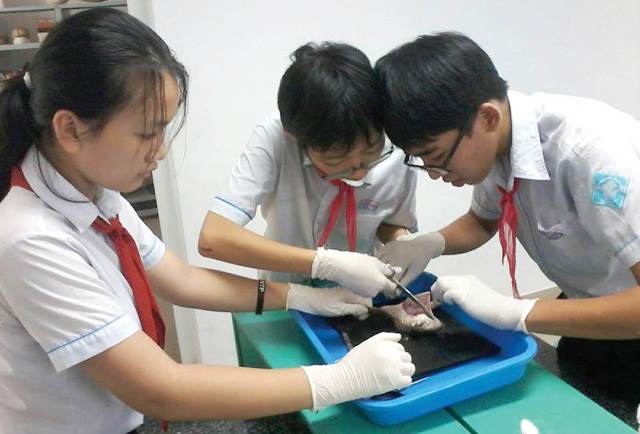 Đổi đất lấy trường học  gỡ khó bằng dám nghĩ, dám làm - kỳ 2 Diện mạo đổi thay từ trường đạt chuẩn quốc gia