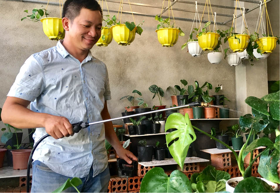 The green of indoor plants