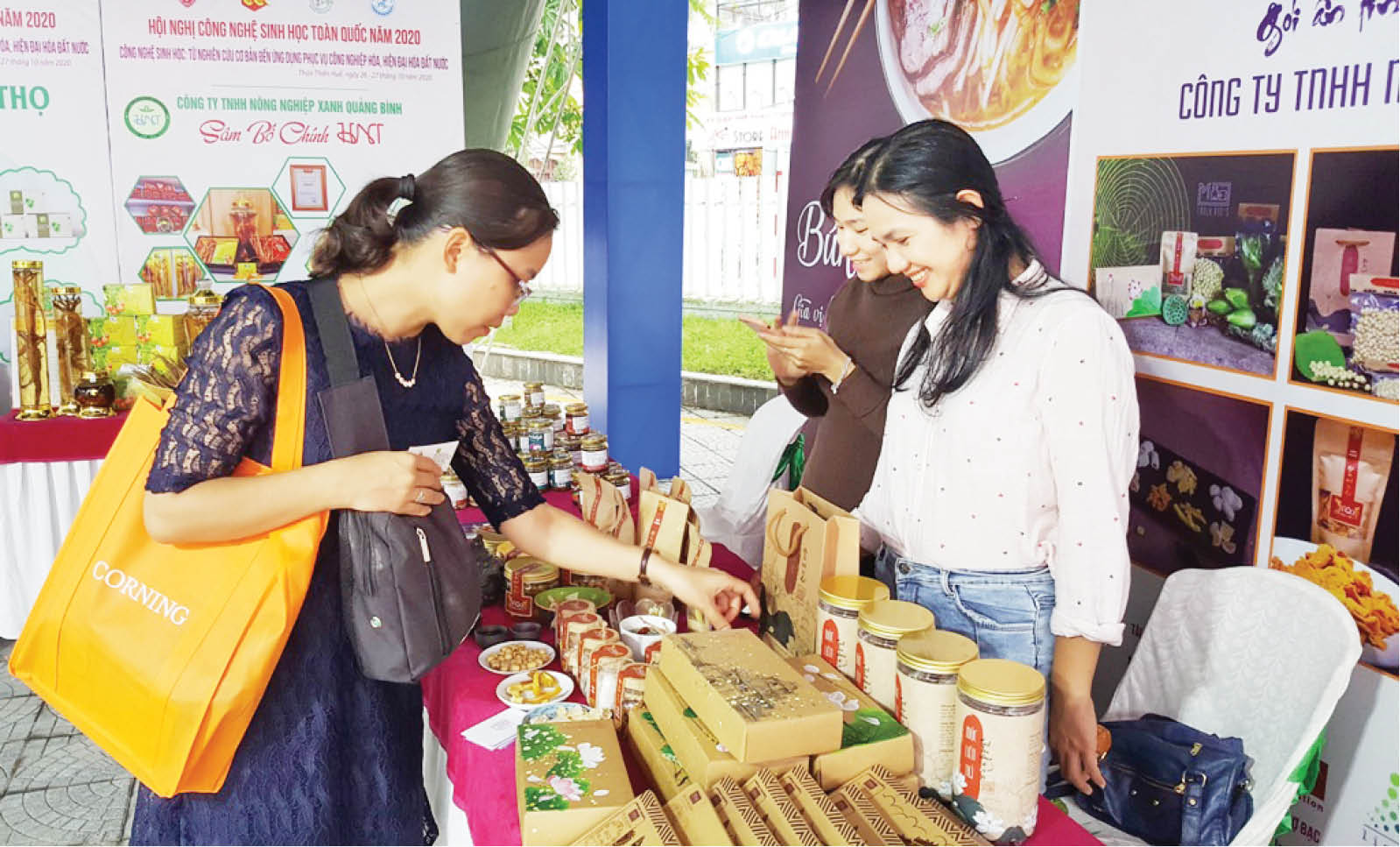 Phát triển cây dược liệu ở Thừa Thiên Huế Vẫn ở dạng tiềm năng