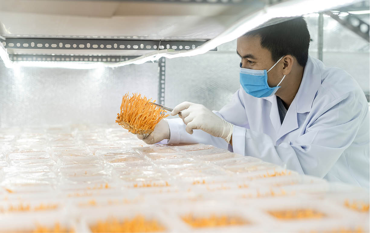 Ưu tiên hỗ trợ sản xuất sản phẩm sạch