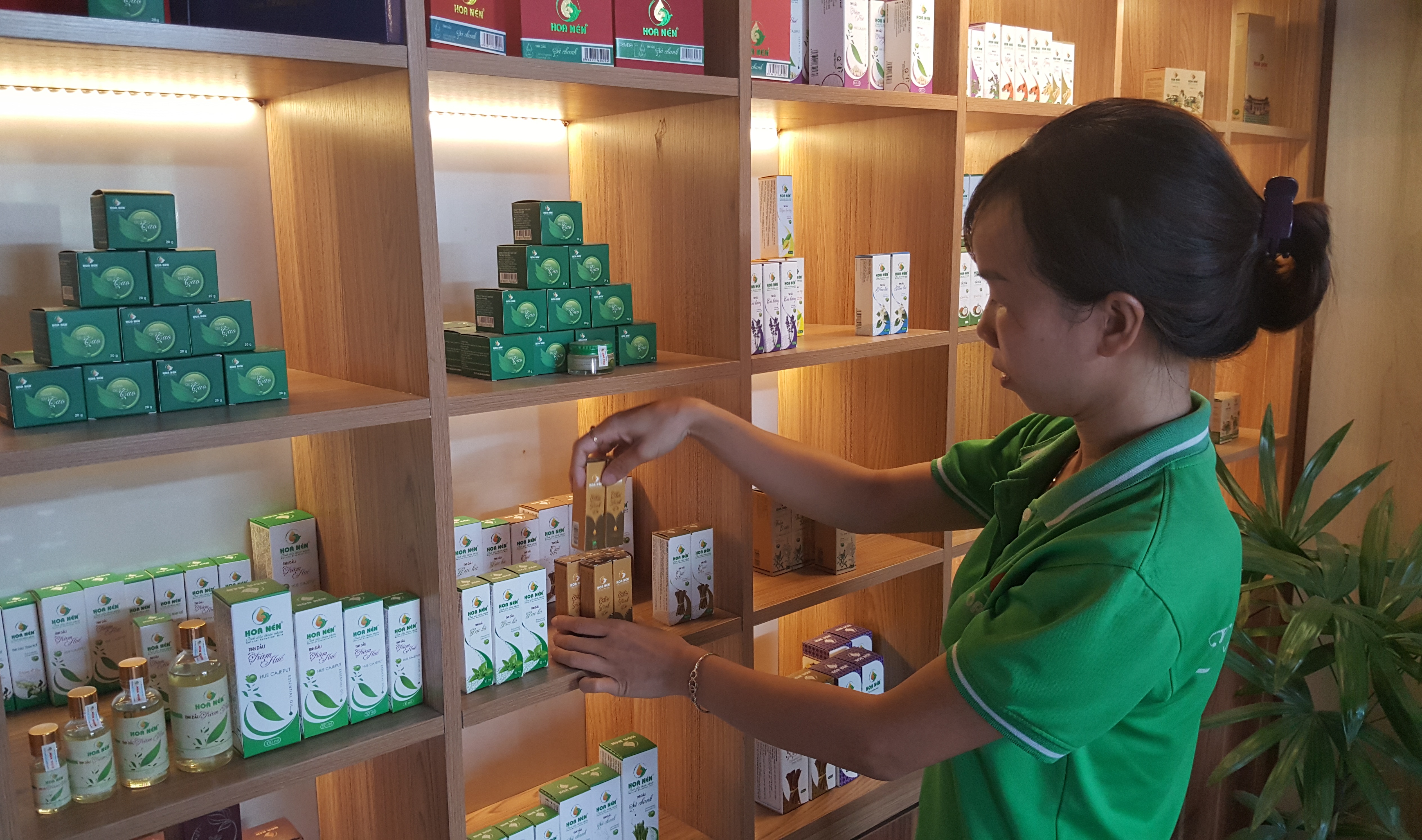 Đưa dầu tràm Huế trở thành sản phẩm chủ lực quốc gia