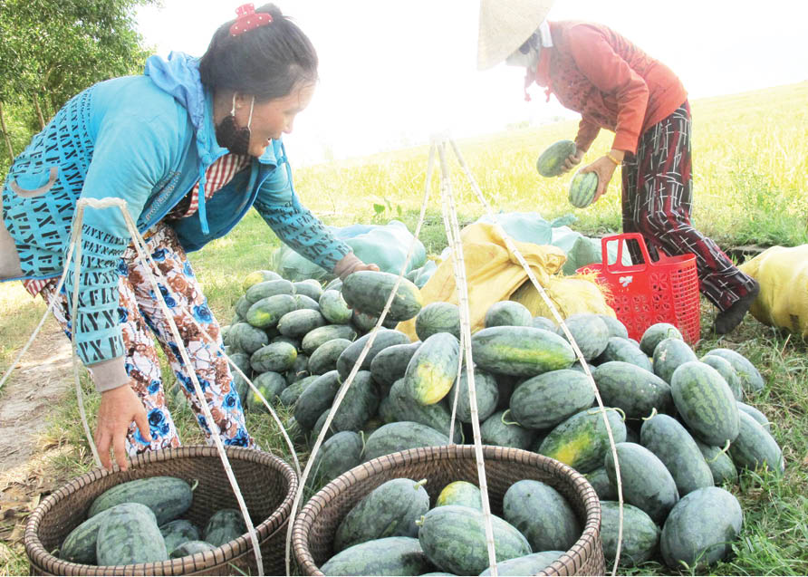 Để không một ai bị bỏ lại phía sau vì COVID-19