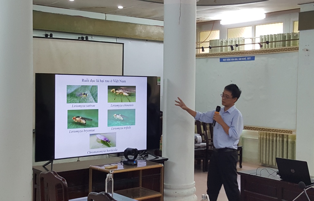 Hoàn thiện quy trình nuôi ong ký sinh phòng trừ ruồi đục hại rau