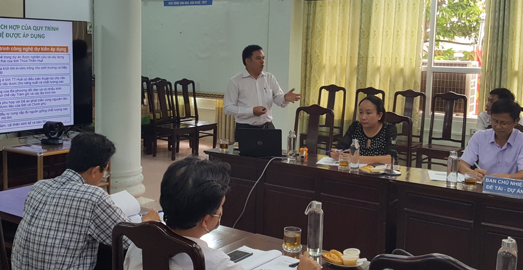 Tạo vùng nguyên liệu dược liệu cho Thừa Thiên Huế